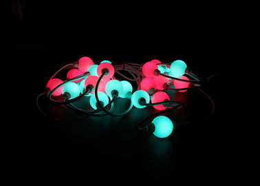 Basse tension Smart de RVB LED de boule accessible magique de lumière individuellement commandé