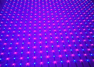 Tamis à mailles d'intérieur polychrome de PVC LED d'intense luminosité de quirlandes électriques de maille de filet de LED