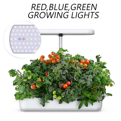 Le planteur hydroponique futé de jardin de jardin d'intérieur de la capacité 4L de réservoir d'eau a mené la lumière de croissance